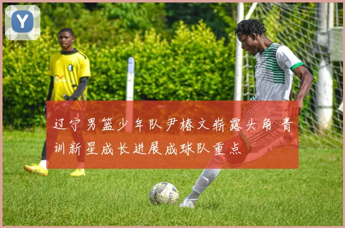 辽宁男篮少年队尹椿文崭露头角 青训新星成长进展成球队重点
