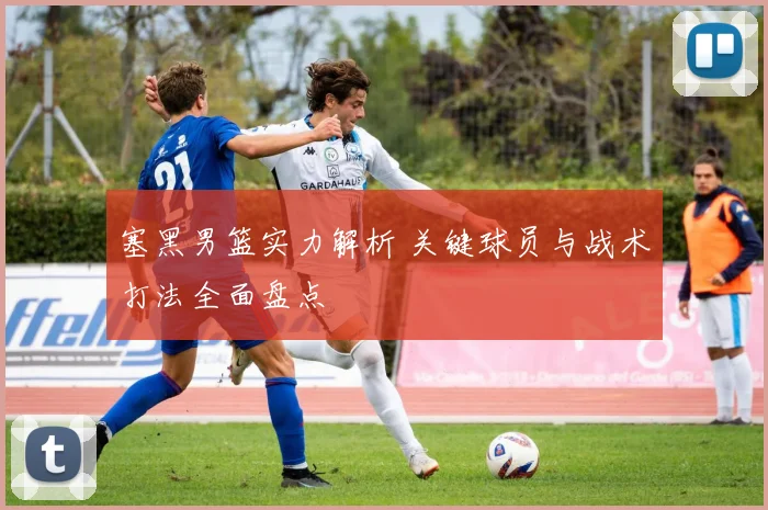 塞黑男篮实力解析 关键球员与战术打法全面盘点