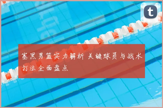 塞黑男篮实力解析 关键球员与战术打法全面盘点