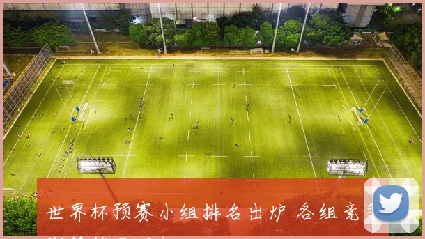 世界杯预赛小组排名出炉 各组竞争形势趋于明朗
