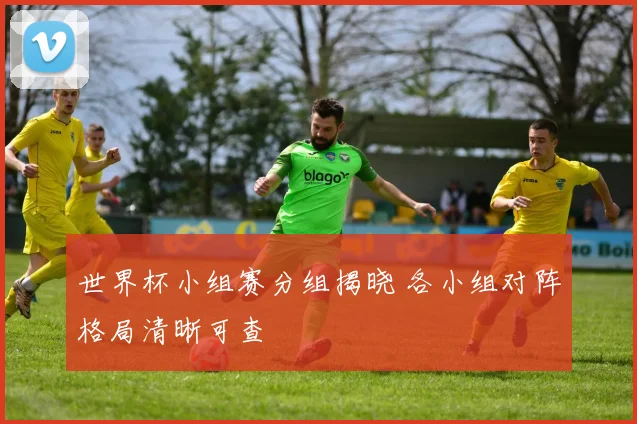 世界杯小组赛分组揭晓 各小组对阵格局清晰可查