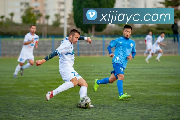 多媒体互动体验